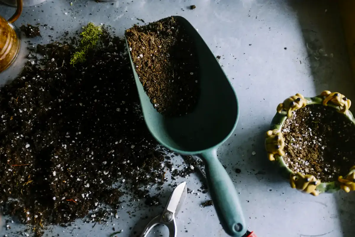 Illustrative photo of a person planting in a garden bed. Not Cromwell Landscape staff.