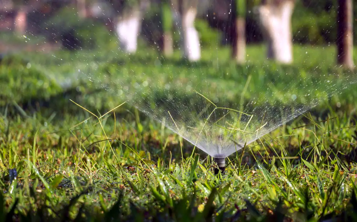 Illustrative photo of sprinklers watering a lawn. Not a Cromwell Landscape job.